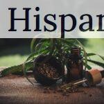 Top CBD shops para comprar CBD barato