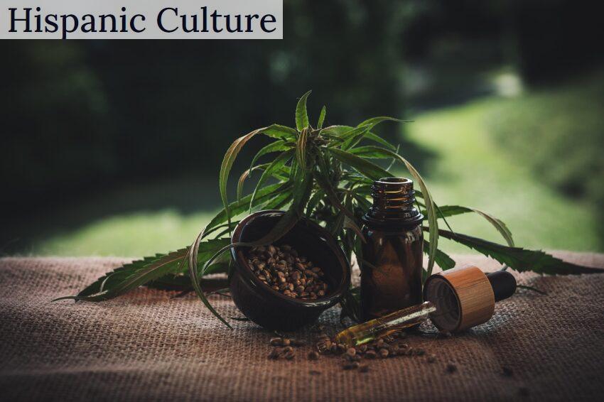 Top CBD shops para comprar CBD barato
